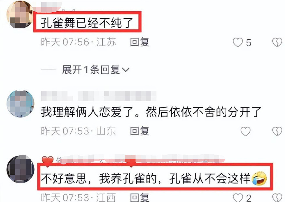 国民仙女人设崩塌！被批低俗不雅，故意搞擦边？ - 5