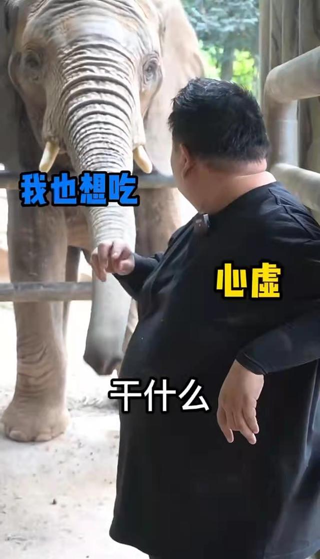 相声演员孙越近况曝光，与大象同框互动，曾在动物园养象十年 - 4