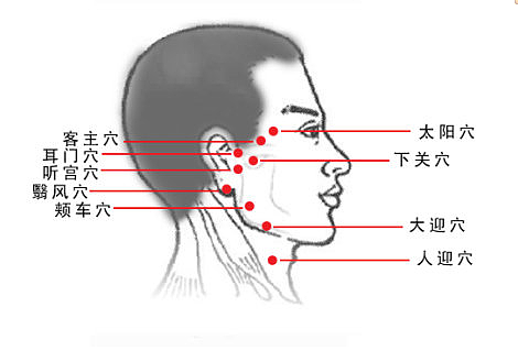 头疗的基本步骤   头部经络图解大全图片及作用 - 3