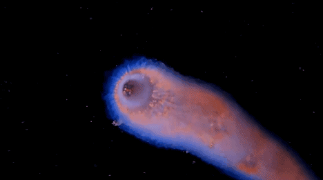 十几米长的巨型怪虫吓坏潜水员，一张大嘴堪称海洋版“沙虫” - 18