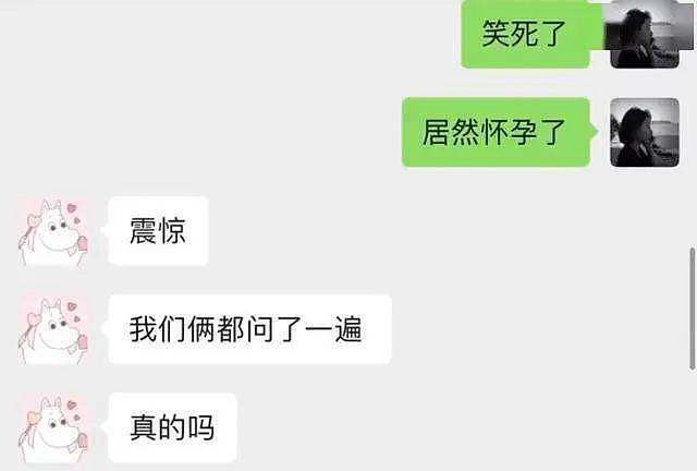 网友捡了只橘猫，本以为自己要当妈了，结果直接变成奶奶 - 6