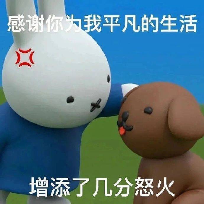 笑话：这绝对亲生的，这姿势学的可像了！ - 6