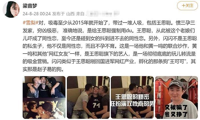 雪梨吸毒风波升级，前男友王思聪也被牵连，被爆吸毒还不孕不育 - 7