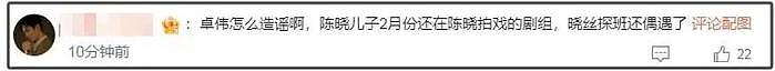 卓伟称陈晓婚变原因炸裂，孩子遭猜测非亲生，男方被痛批没担当 - 19