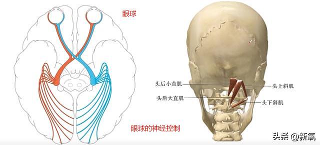 ab复出试水失败返港发展？穿迷你裙扭腰摆拍，被嘲重回嫩模时代 - 19