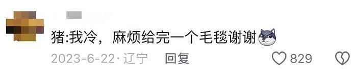 26岁空姐裸辞当农妇，违背祖宗也要成为全村最会喂猪的崽？ - 21