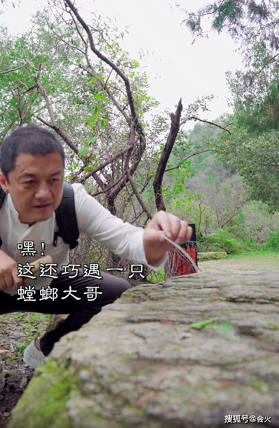 50岁李亚鹏重阳节登山，用树枝逗螳螂，坐石凳上饮菊花酒吃重阳糕 - 2