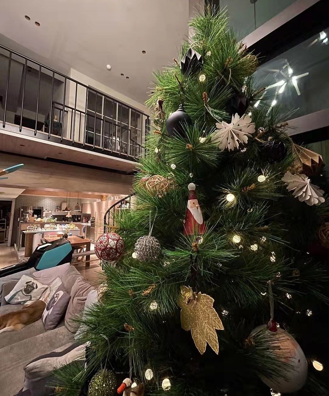 ELLA与儿子布置圣诞树，劲宝酒窝明显遗传妈妈，豪宅超大落地窗曝光 - 4