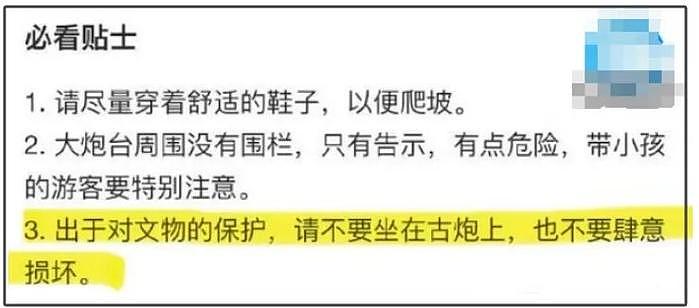 王楚钦坐古炮台拍照惹争议，粉丝狡辩文物没有围挡，被怒批没素质 - 10