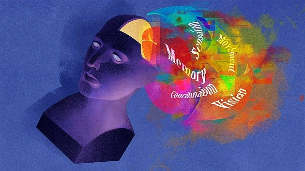 神经科学家试图将不同类别的心理功能映射到大脑的特定区域，但最近的工作表明，这些区域的定义和边界是复杂的，而且与情境有关