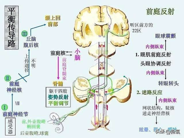 ab复出试水失败返港发展？穿迷你裙扭腰摆拍，被嘲重回嫩模时代 - 21