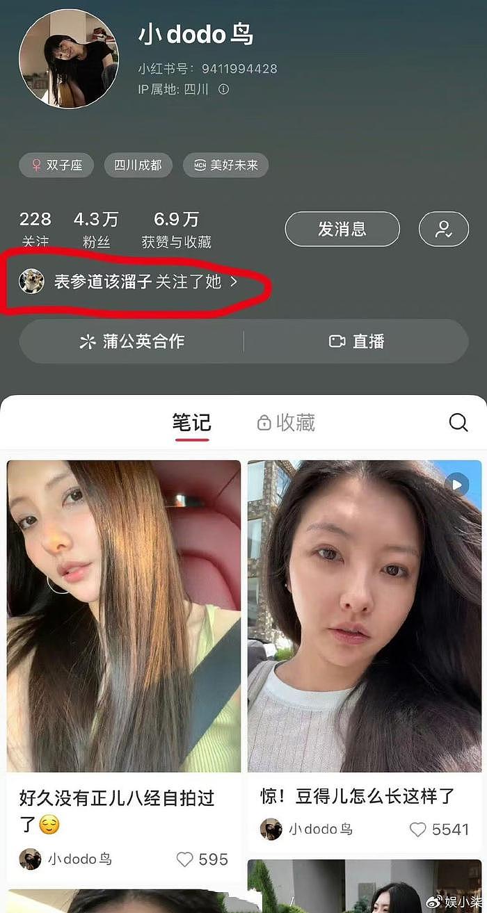 王思聪旧情复燃？小号关注豆得儿，女方刚官宣新男友立马分手 - 4