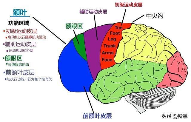 又是一个栽在男人身上的女顶流，谷爱凌的口碑还在持续崩坏 - 16