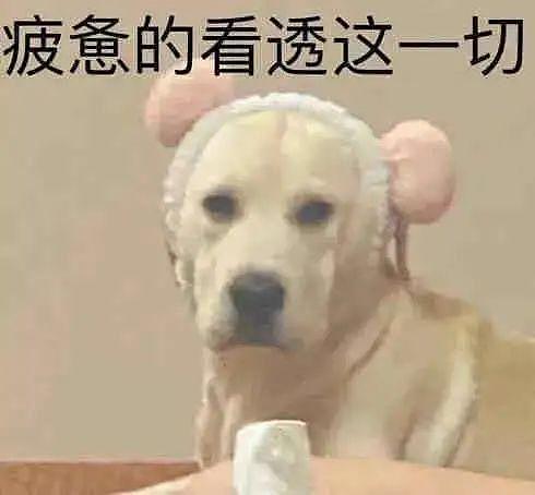 比赛输了就该吃避孕药？！凭什么要对郑钦文这么大恶意… - 39