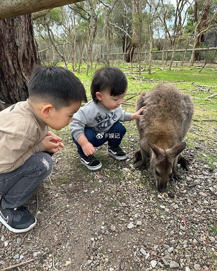 梁靖琪夫妇带两个儿子出国旅游 亲近大自然与各种小动物接触 - 8
