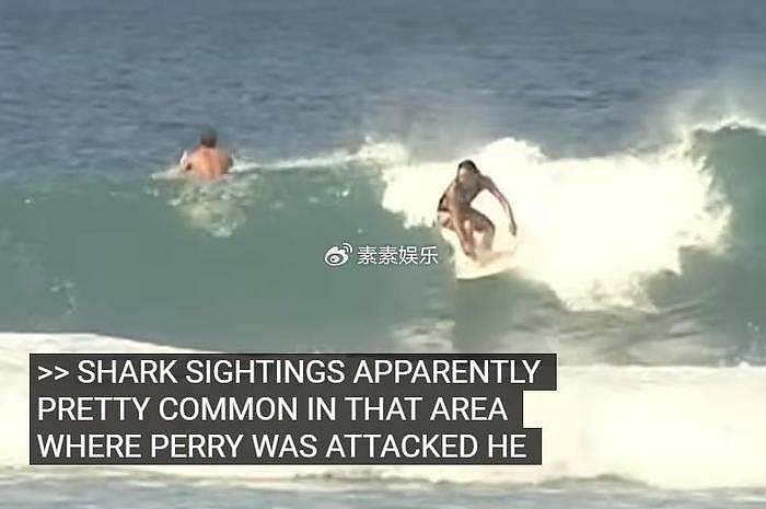噩耗！49岁演员佩里遭鲨鱼攻击身亡，被咬掉手和腿，遇害画面公开 - 9
