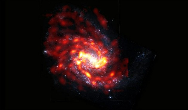 螺旋星系NGC 4254是室女座星系团中数千个受到极端物理过程影响的星系之一。ALMA的射电图像中，可以看到这个星系的分子气体呈红色/橙色；在哈勃太空望远镜的光学图像中，该星系的恒星呈白色/蓝色