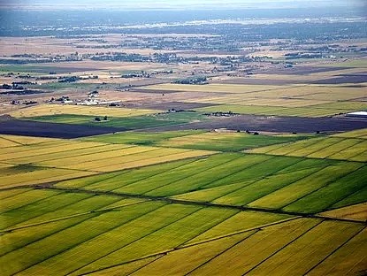 加利福尼亚州萨克拉门托是美国主要的水稻生产基地，但是在2021年却遇到了干旱事件，而不得不大规模减少水稻播种。 图/wikipedia