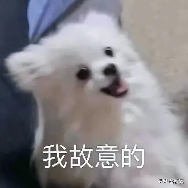 比赛输了就该吃避孕药？凭什么要对郑钦文这么大恶意 - 30