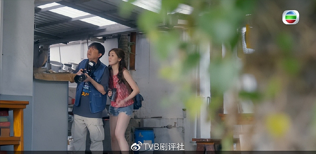 核突报警！TVB艺人林盛斌新剧收获好评，曾撮合10对情侣 - 5
