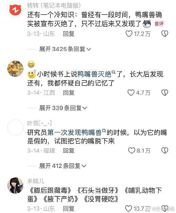 鸭嘴兽这种既不进化也没灭绝，一身bug又能运行的状态好符合当代人 - 2