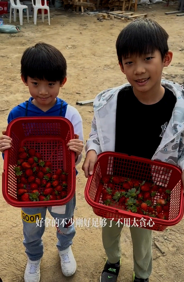 洪金宝生日三代同堂去农场享受天伦之乐 孙子们亲自摘草莓给其吃 - 5