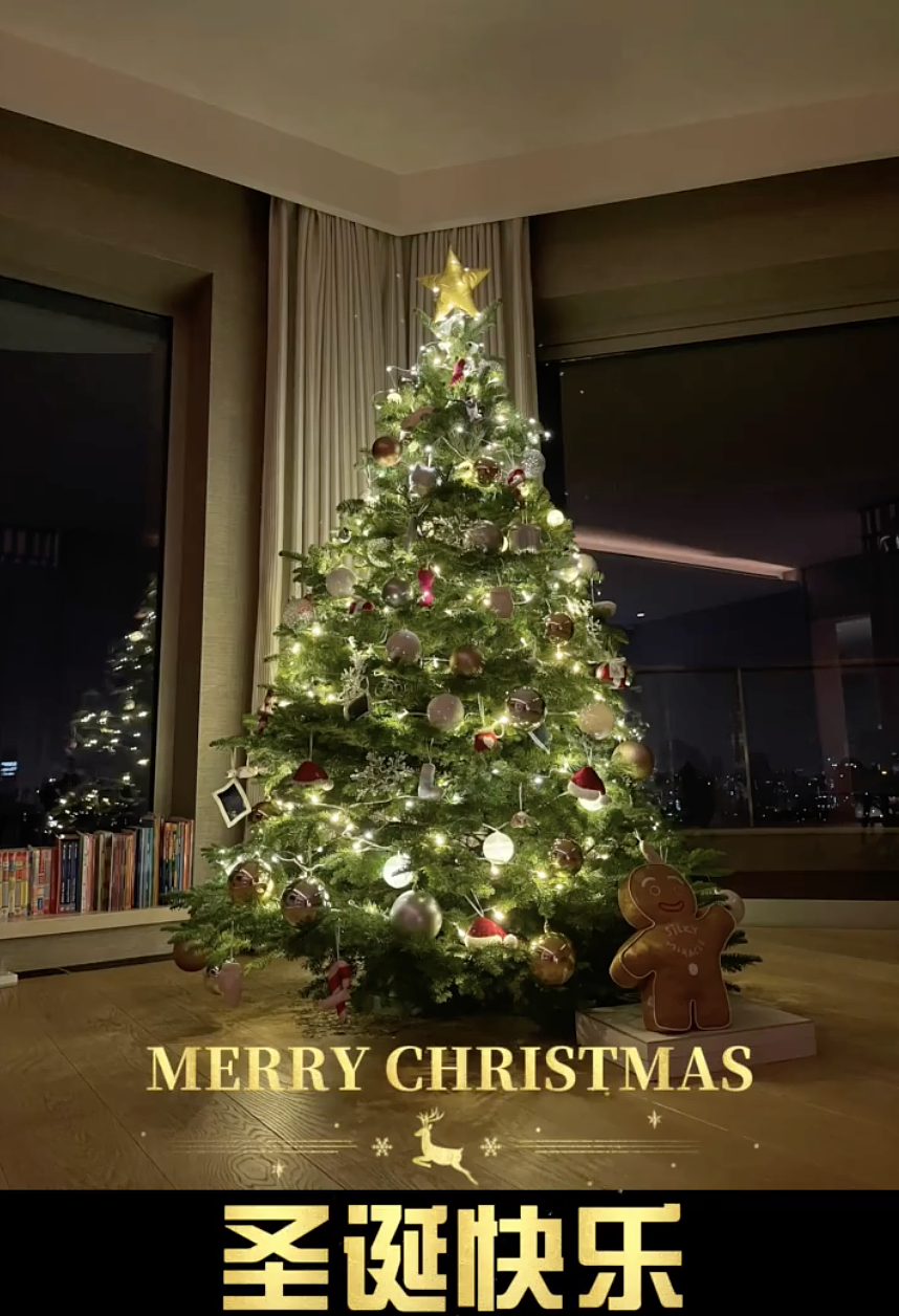 奚梦瑶产后陪儿子装饰圣诞树，两个保姆一起帮忙，超大客厅好敞亮 - 9