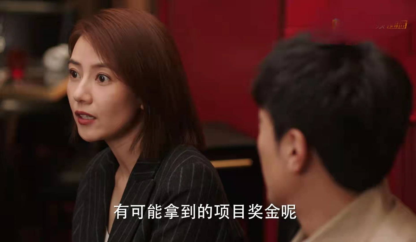 完美伴侣：林庆昆不算什么，孙磊才是真有钱，离婚后的陈珊后悔了 - 8