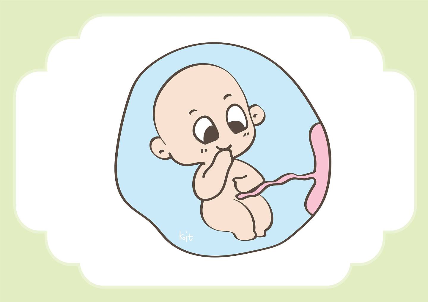 怀孕之后，读懂胎儿的“肢体语言”，对孕妈来说很关键！ - 1