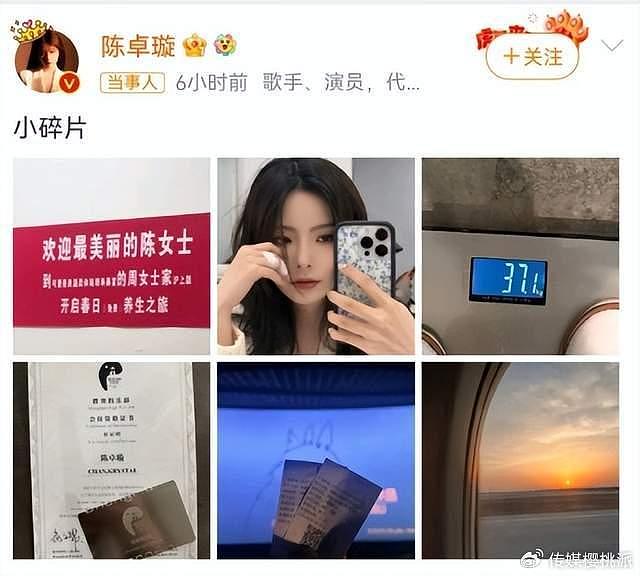 身高164，体重仅有74.2斤，陈卓璇的身材又道出了娱乐圈的残酷 - 1