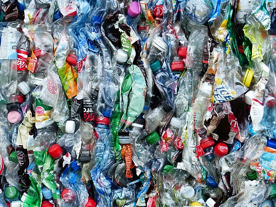 塑料垃圾养育的微生物，能帮我们吃掉塑料垃圾吗？ - 1