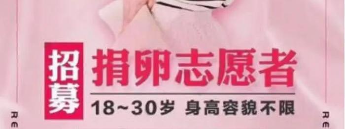 真的有脑子清醒的女性支持代孕吗？ - 5