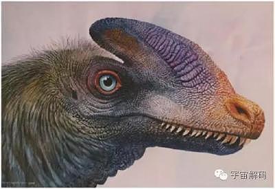 恐龙的十大未解之谜：恐龙如何交配