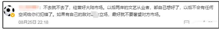 歌手王以太被台湾省封杀，只因演唱会用中国台北，网友怒骂敏感肌 - 13