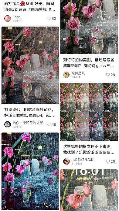 谁还没换刘诗诗拍的雨打荷花壁纸️ - 9