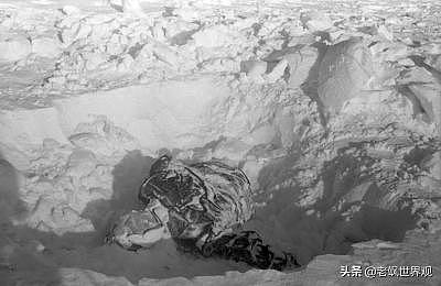 迪亚特洛夫事件：9名登山队员离奇死亡，山中藏了什么？