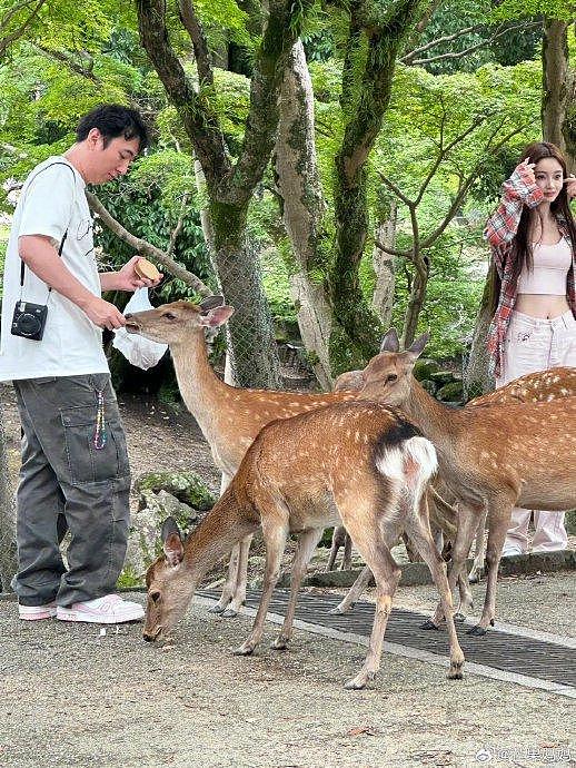 校长女友流程，出去旅行被拍，奈良喂鹿，同居打卡，分手……已成流水线 - 5