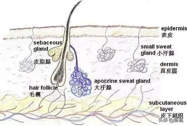 教大家做人生大女主的伊能静，这次终于翻车了？ - 12