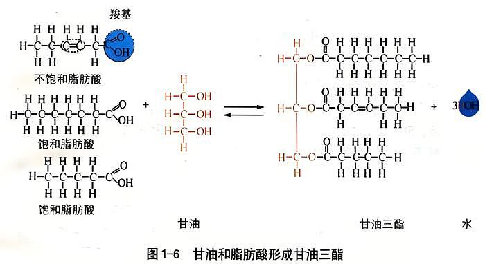 盲女才是欧阳娜娜的舒适圈？人设全崩后她终于找到新赛道了… - 21