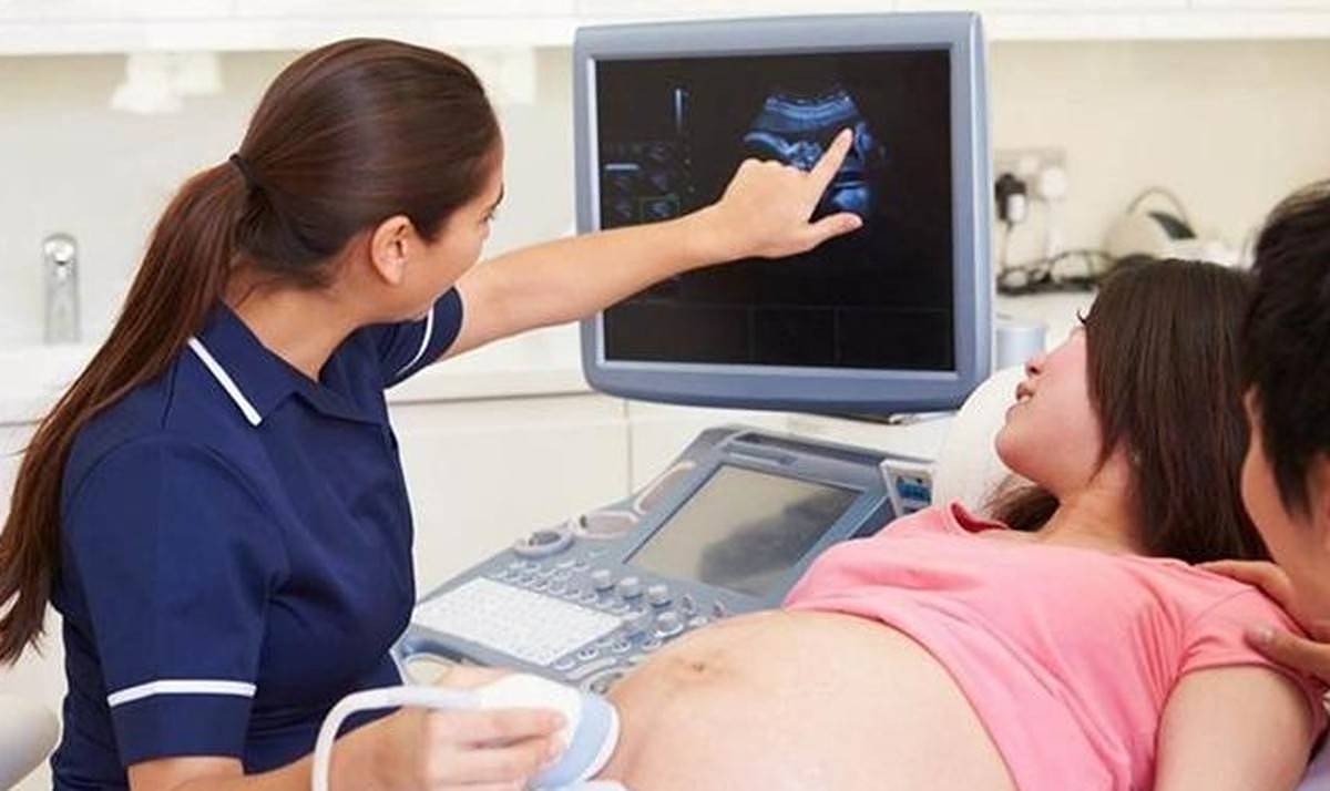孕期吃鹅蛋能去胎毒？孕妈有必要弄清楚，否则可能会伤害胎儿健康 - 3