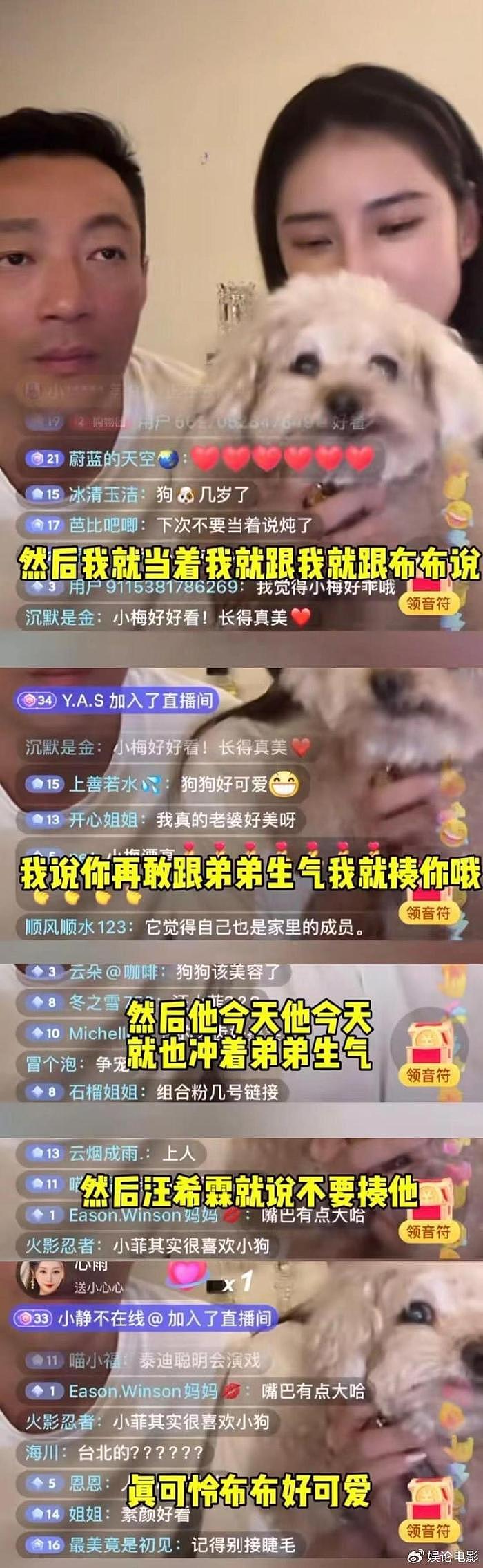 汪小菲马筱梅直播，曝家里的狗狗13岁了，汪希箖心疼舍不得揍它 - 3