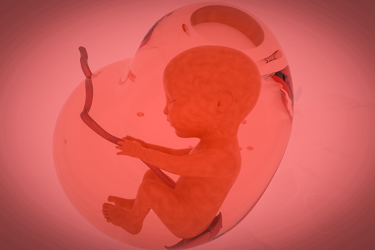 四维彩超单上的数据会告诉你胎儿是否健康，孕妈学会看不用求医生 - 6
