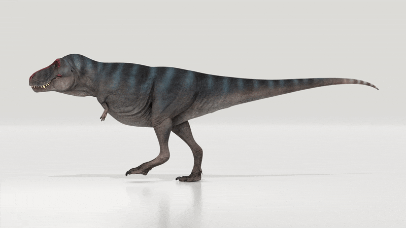 2021年的十个恐龙神奇大发现：首个保存完好的恐龙“屁眼” - 6