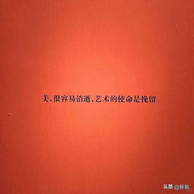 多次发癫被骂上热搜，却又美到让所有人闭嘴 - 17