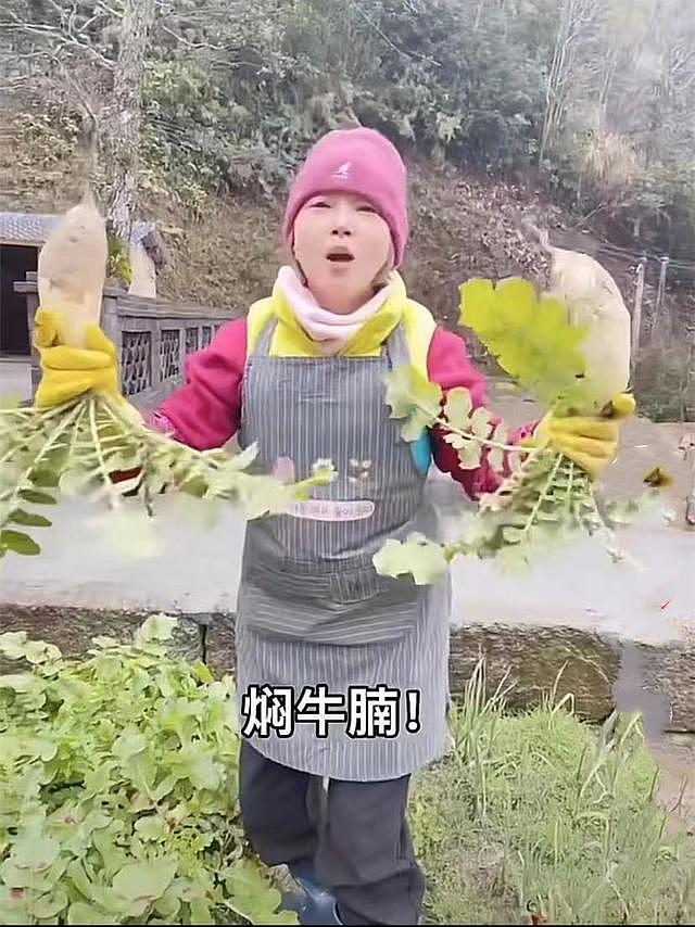 港星刘玉翠现身乡村生活，亲自下地干活洗菜生柴，打扮简朴接地气 - 4