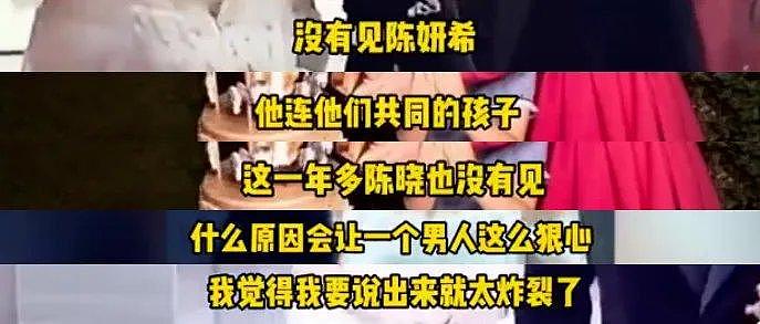 卓伟曝陈晓婚变原因炸裂，孩子遭猜测非亲生，网友痛批男方没担当 - 9