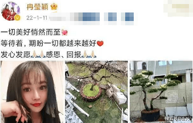 邹市明老婆罕炫富！豪宅庭院大如城堡，配文引网友猜测：怀4胎？ - 1