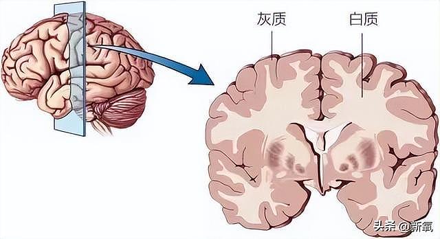 又是一个栽在男人身上的女顶流，谷爱凌的口碑还在持续崩坏 - 26