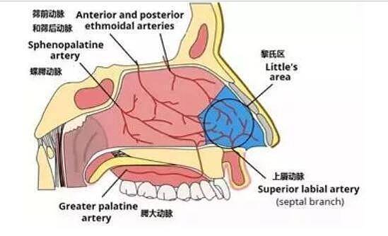 娃流鼻血时仰头能止血吗？效果不好还有害！要懂正确的止血方法 - 4