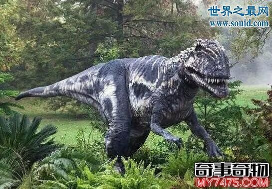 世界上最矮的食肉恐龙 巨兽龙 咬合力高达12吨